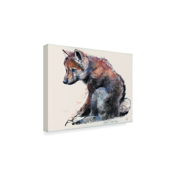 Mark Adlington 'Polish Wolf Pup' Canvas Art,24x32
